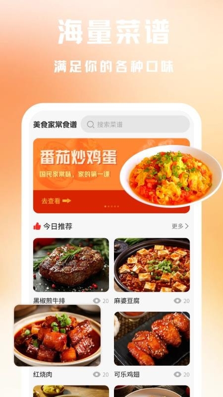 美食家常菜谱