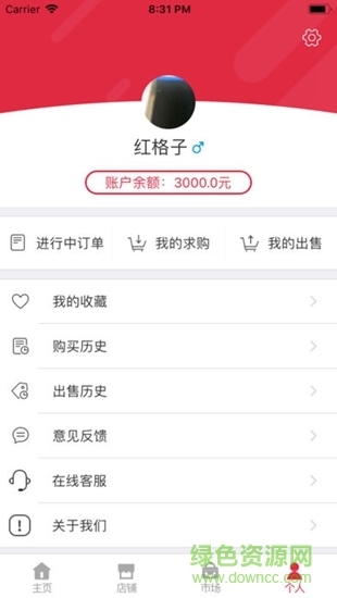 红格子