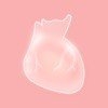 life生命