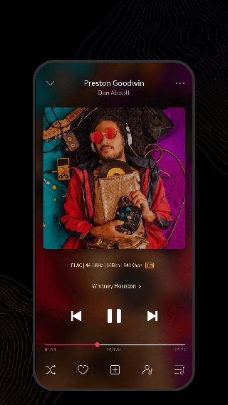 飞傲音乐fiio Music(音乐播放器) v3.3.0 安卓版