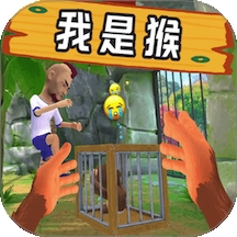 狒狒盖瑞模组