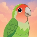 Bird Kind安装器