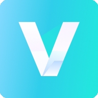 V号族