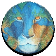 Lion阅读