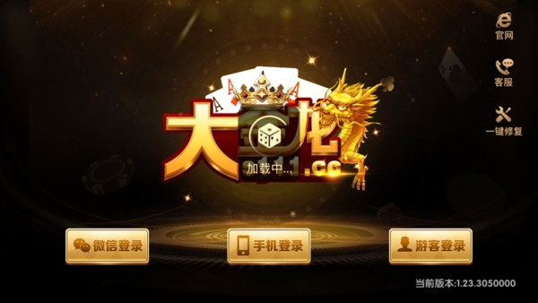s222大金龙手机版