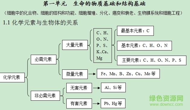 虚拟高中生活