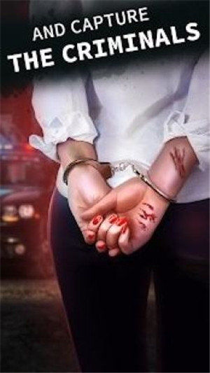 Criminal Stories(选择的侦探)