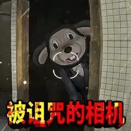 看不到的真相